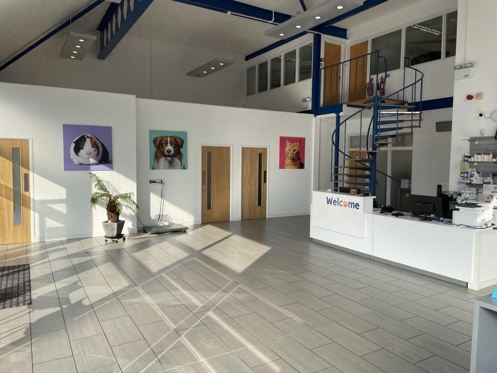 Reception at Health Vets in Burgess Hill