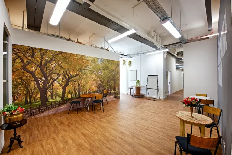 Freedom Works - Office space with graphics on the walls of trees.