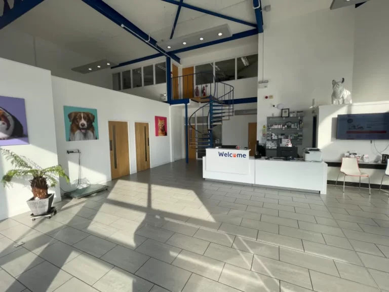 Heath Vets - Reception area with photos of pets