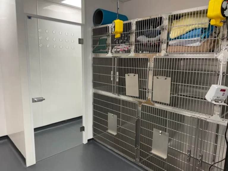 Heath vets - Dog cages