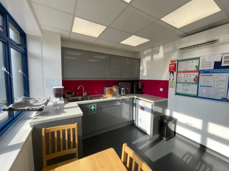 Heath vets - kitchen area