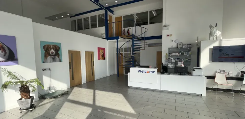 Heath Vets | Main reception area of the vets.