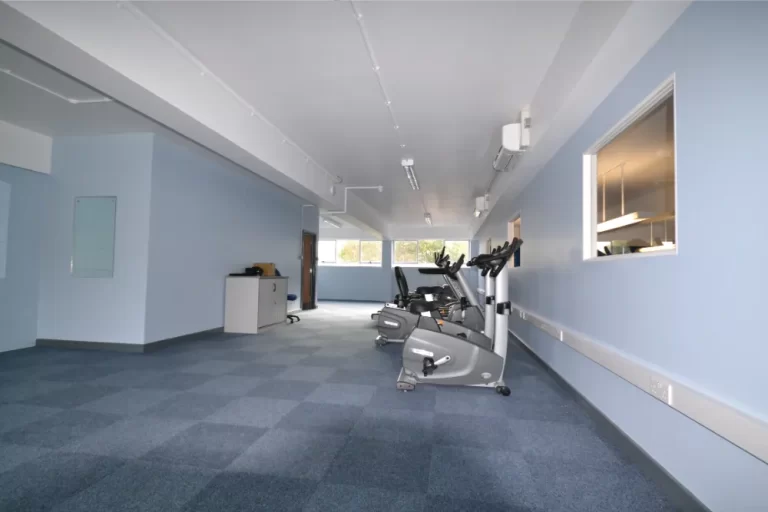 Hazelwick School | Gym space.