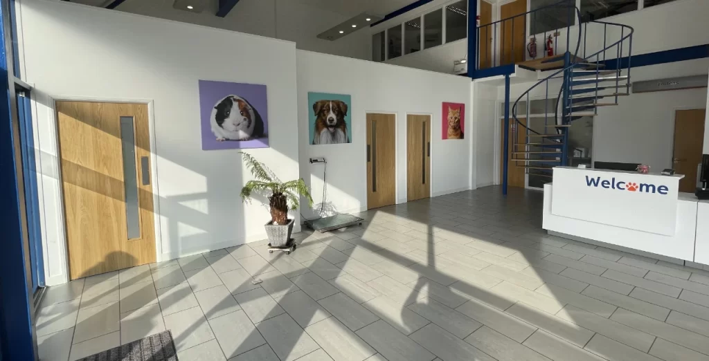 Office Refurbishments - How Your Workplace Will Benefit